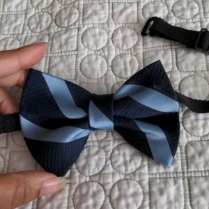 Navy and baby blue bowtie, adjustable